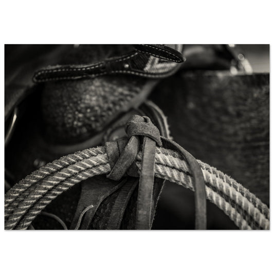 248f2782-962a-4ea5-add2-dabb809d8dde